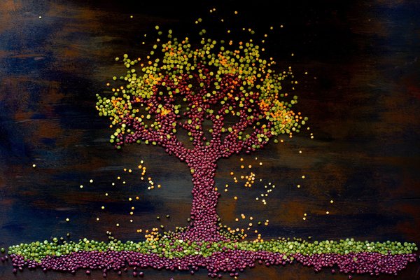 How to Assemble a Vegan Rainbow Buddha Bowl with Quinoa and Tahini Dressing?