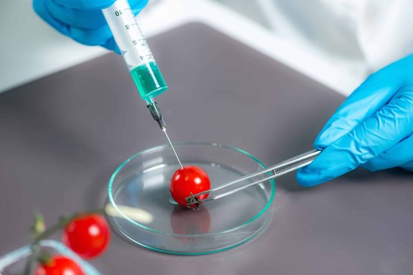 How to Modify a Volkswagen Beetle to Fit a Subaru Boxer Engine for Increased Power and Reliability?